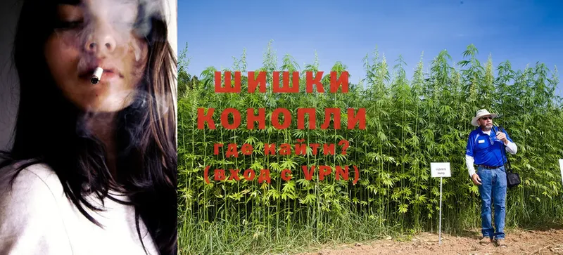 где купить наркотик  Порхов  Бошки Шишки Ganja 